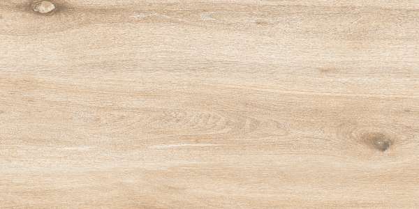 PGVT & GVT - 600 x 1200 mm (24 x 48 inci) - IRONWOOD BEIGE-R1