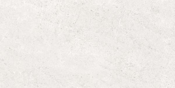 Glazed Porcelain Tiles - 800 x 1600 mm ( 32 x 64 inch ) - BRESDYNE BIANCO_01