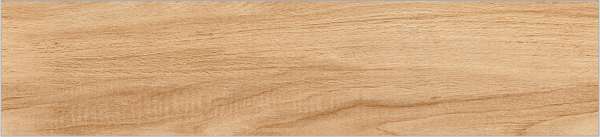 بلاط درج - 300 × 900 مم (12 × 36 بوصة) - Wood pine-R