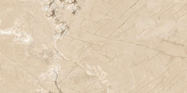 azulejo hidráulico - 600 x 1200 mm (24 x 48 polegadas) - GLACIER BROWN_01