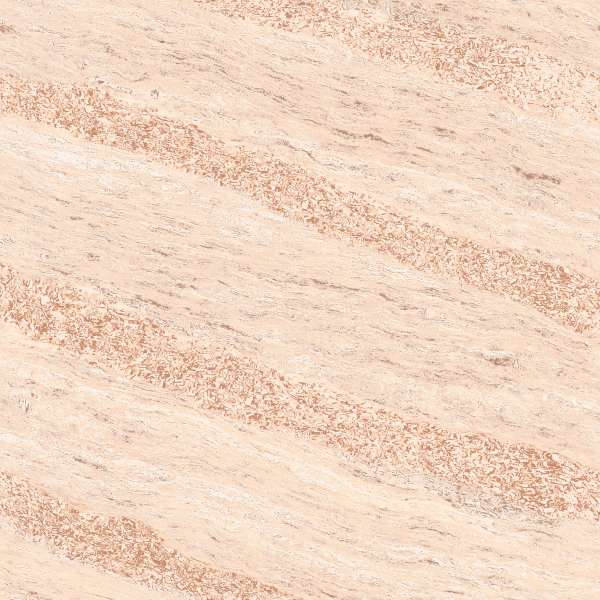 Digital Pa Tiles - 400 x 400 mm (16 x 16 inch) - 6176