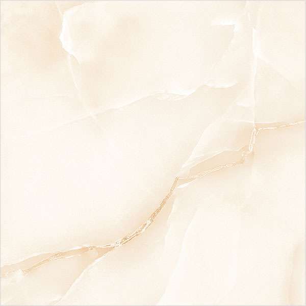 Glazed Porcelain Tiles - 600 x 600 mm ( 24 x 24 inch ) - fashion-royal-onyx