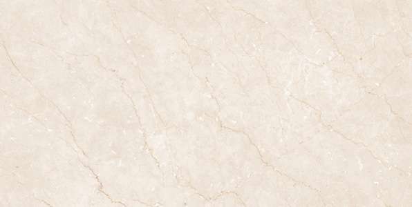 carrelage porcelanosa - 600 x 1200 mm ( 24 x 48 pouces ) - 2023 R1