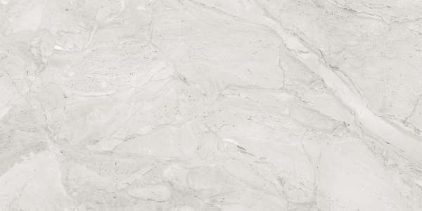 Glazed Porcelain Tiles - 600 x 1200 mm ( 24 x 48 inch ) - DYNA GREY_01