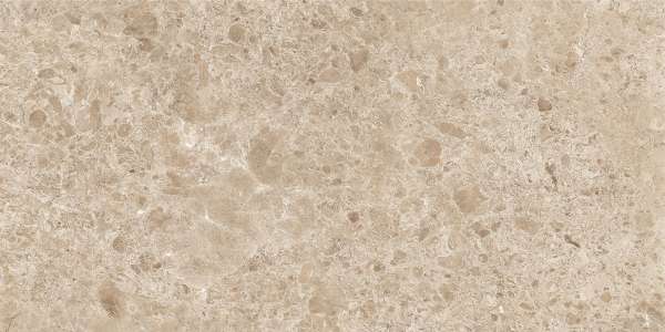 Glazed Porcelain Tiles - 600 x 1200 mm ( 24 x 48 inch ) - helios-brown-1