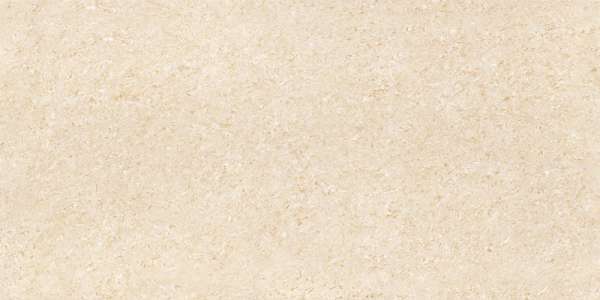 पीजीवीटी और जीवीटी टाइल्स - 600 x 1200 मिमी (24 x 48 इंच) - ALBIZA BEIGE