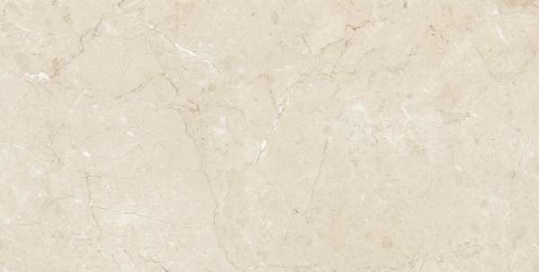 PGVT & GVT - 600 x 1200 mm ( 24 x 48 inci ) - Conica Ivory