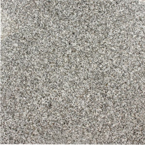 Ant Granite