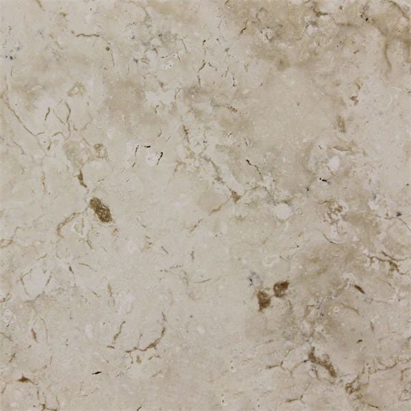 White Fossus Limestone