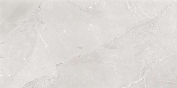 Glazed Porcelain Tiles - 600 x 1200 mm ( 24 x 48 inch ) - svpl-6023-1