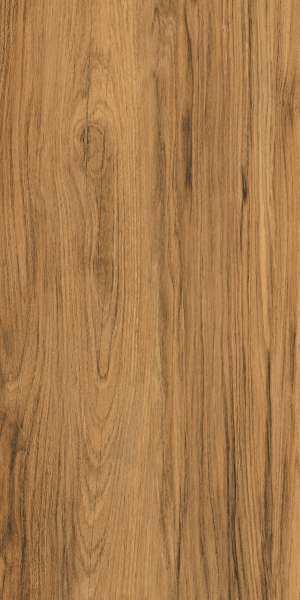 PGVT 및 GVT - 600 x 1200mm(24 x 48인치) - ASH WOOD (1)