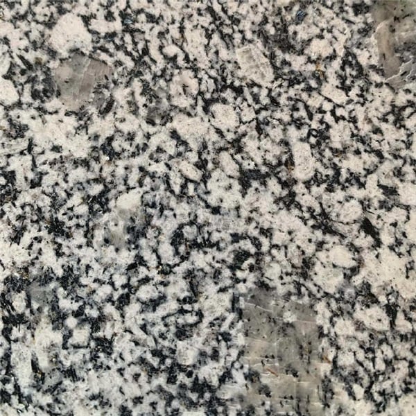 Pessinus Grey Granite