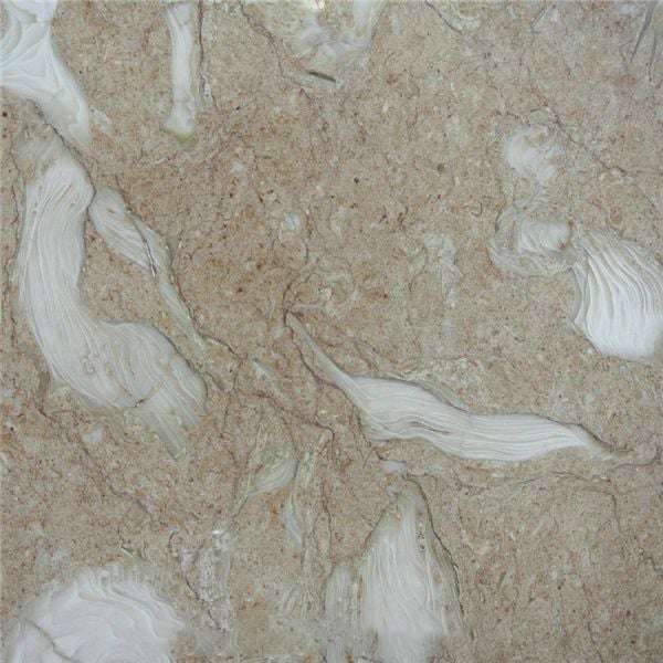 Art Fossil Limestone