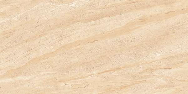 Glazed Porcelain Tiles - 600 x 1200 mm ( 24 x 48 inch ) - REAL DYNA PULIDO_01