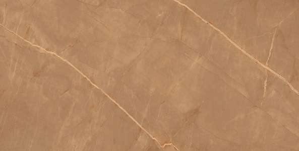 Glazed Porcelain Tiles - 600 x 1200 mm ( 24 x 48 inch ) - EMBRACE BROWN R1