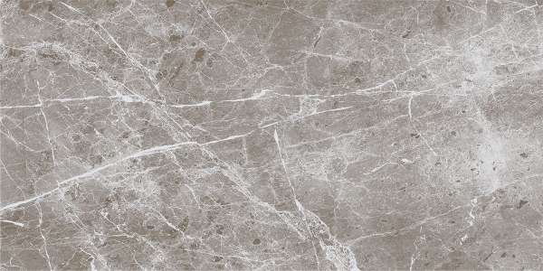 Glazed Porcelain Tiles - 600 x 1200 mm ( 24 x 48 inch ) - svpl-6035-1