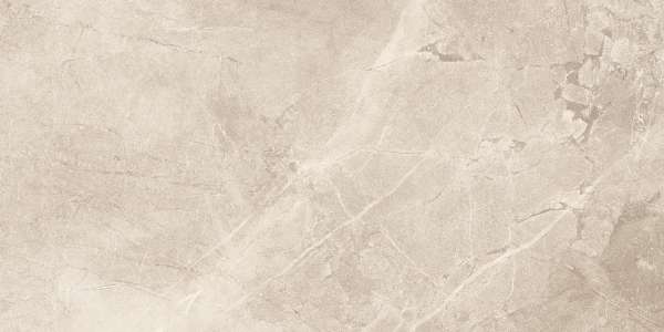 Glazed Porcelain Tiles - 600 x 1200 mm ( 24 x 48 inch ) - ASTRA CEDAR_03