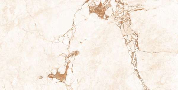 крупноформатный керамогранит - 300 x 600 мм (12 x 24 дюйма) - ROSALIYA MARBLE_01