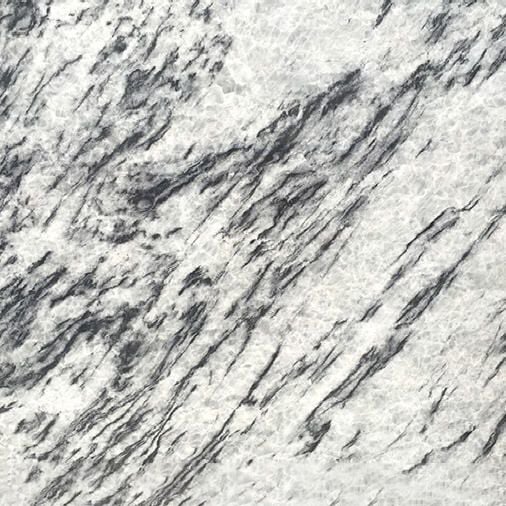 Coahuila Princess White Marble