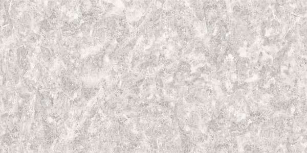 pavimento gres porcellanato - 600 x 1200 mm (24 x 48 pollici) - emprador-grey-1