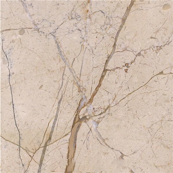 Gold Net Beige Marble