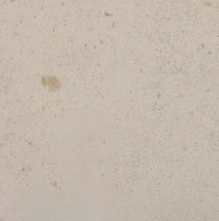 Palmira Limestone