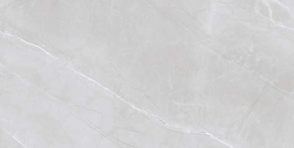 Glazed Porcelain Tiles - 600 x 1200 mm ( 24 x 48 inch ) - EMBRACE SILVER R1