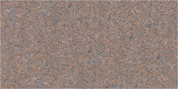 Vitrified Tiles - 600 x 1200 mm ( 24 x 48 inch ) - SIMA MOTO TIGER ( D )