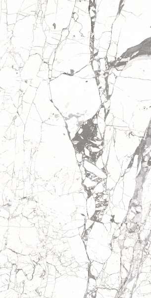 piso azulejo - 600 x 1200 mm (24 x 48 pulgadas) - ROSALIA-WHITE_R1