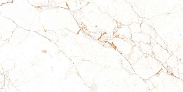 pavimento gres porcellanato - 600 x 1200 mm (24 x 48 pollici) - ATLAS BIANCO R1