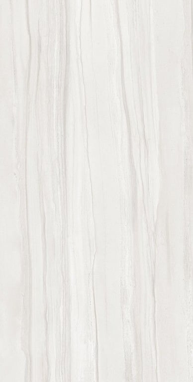 Glazed Porcelain Tiles - 600 x 1200 mm ( 24 x 48 inch ) - ENDILO GREY[1]