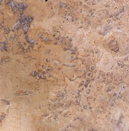 China Brown Travertine