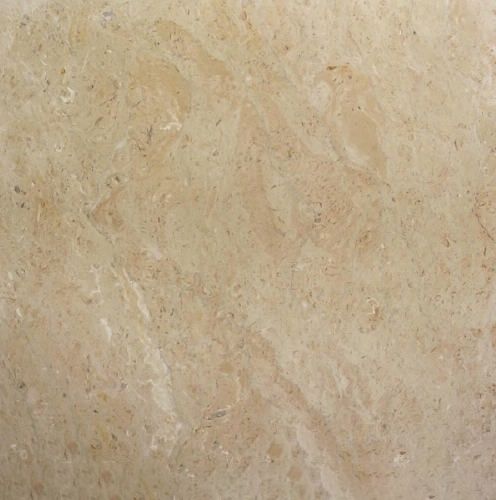 Sahara Somon Limestone