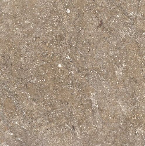 Autumn Brown Limestone