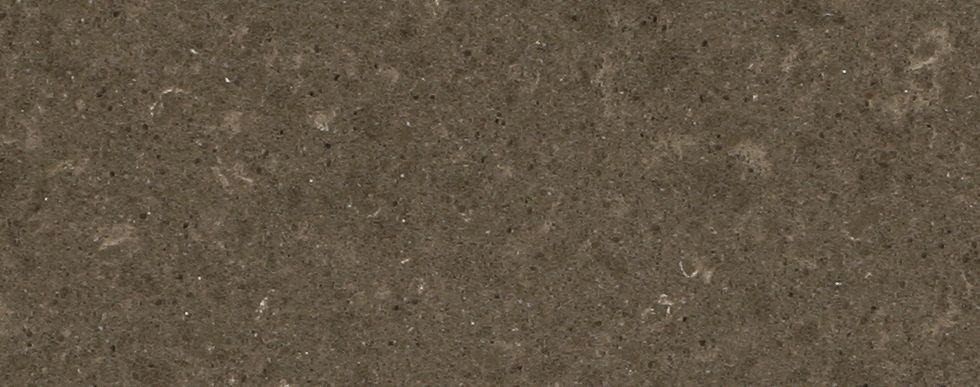 Wild Rice stone Quartz countertop