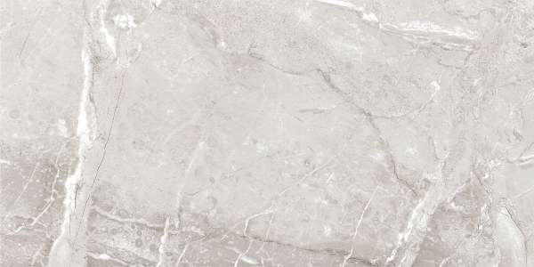 pavimento gres porcellanato - 600 x 1200 mm (24 x 48 pollici) - raymi-grey-1