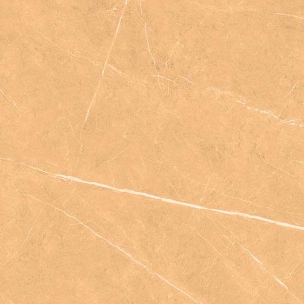 pavimento gres porcellanato - 600 x 600 mm (24 x 24 pollici) - CP 5019 R1