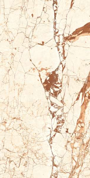 Glazed Porcelain Tiles - 600 x 1200 mm ( 24 x 48 inch ) - ROSALIA-NATURAL_r1