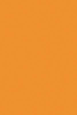 일반 벽 타일 - 200 x 300mm(08 x 12인치) - orange1