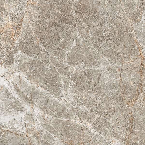 Glazed Porcelain Tiles - 600 x 600 mm ( 24 x 24 inch ) - svpl-2009-1