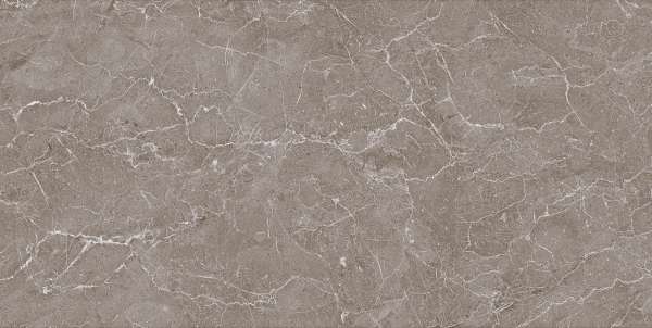 Wall Tiles - 300 x 600 mm ( 12 x 24 inch ) - CAP6048