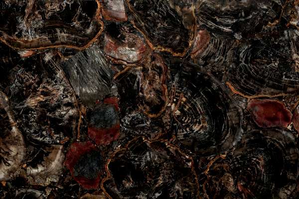 Granit, Batu & Kuarsa - Ukuran apapun - black petrified wood