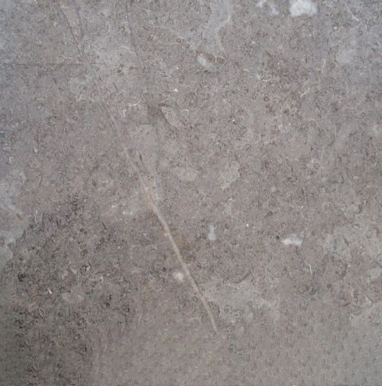 Fossil Gray Limestone