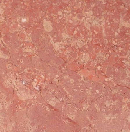 Red Moneasaa Limestone