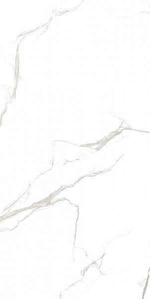 Glazed Porcelain Tiles - 600 x 1200 mm ( 24 x 48 inch ) - STATUARIO CAFE_01