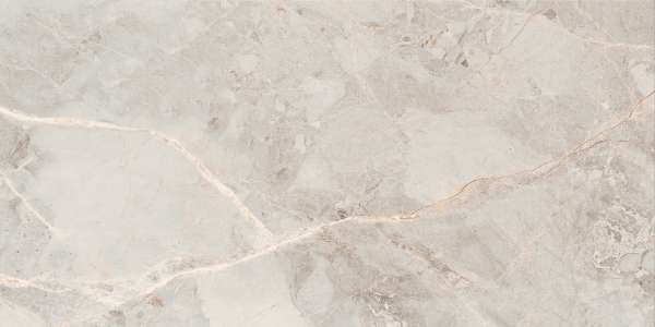 بلاط الباركيه - 600 × 1200 مم (24 × 48 بوصة) - RIVER ROSE_01