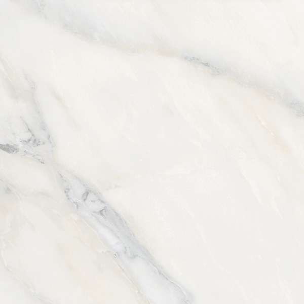 pavimento gres porcellanato - 600 x 600 mm (24 x 24 pollici) - ONYX WHITE R1