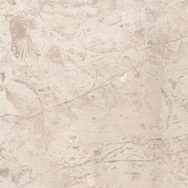 Crema Caracol Marble