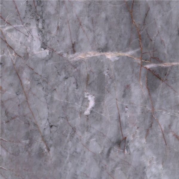 Multicolored Gray Marble