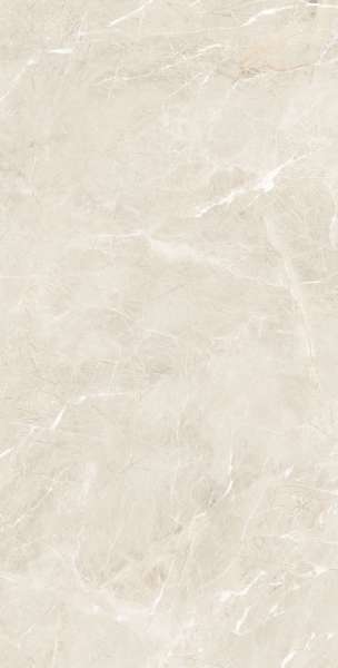 بلاط الباركيه - 600 × 1200 مم (24 × 48 بوصة) - EMPRO-SMOGGY-BEIGE_R1